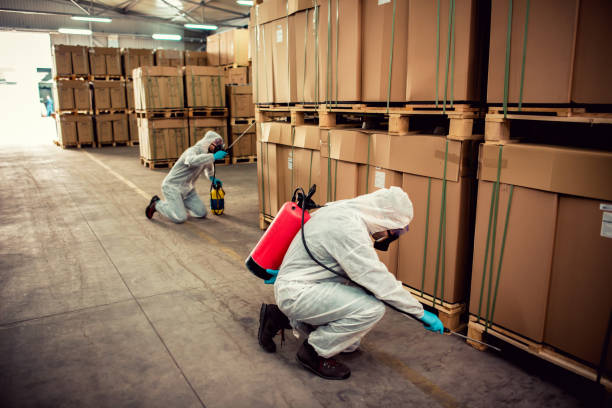Flea Control Services in Osage City, KS