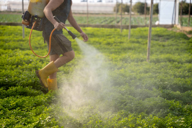 Best Best Pest Control Companies  in Osage City, KS