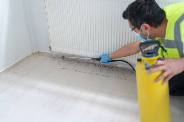 Best Flea Control Services  in Osage City, KS