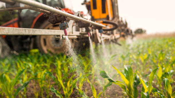 Best Pest Removal Services  in Osage City, KS